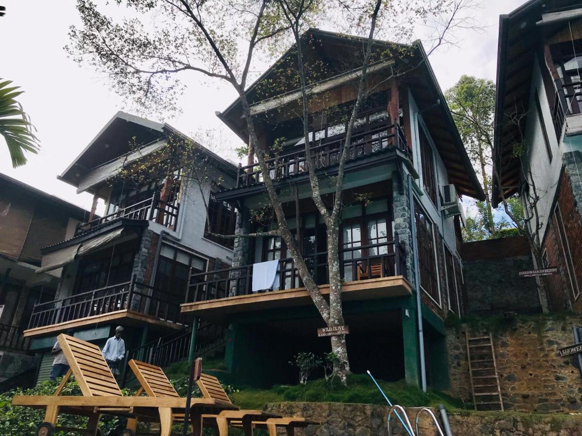 Tina Nature Villa Елла Екстер'єр фото