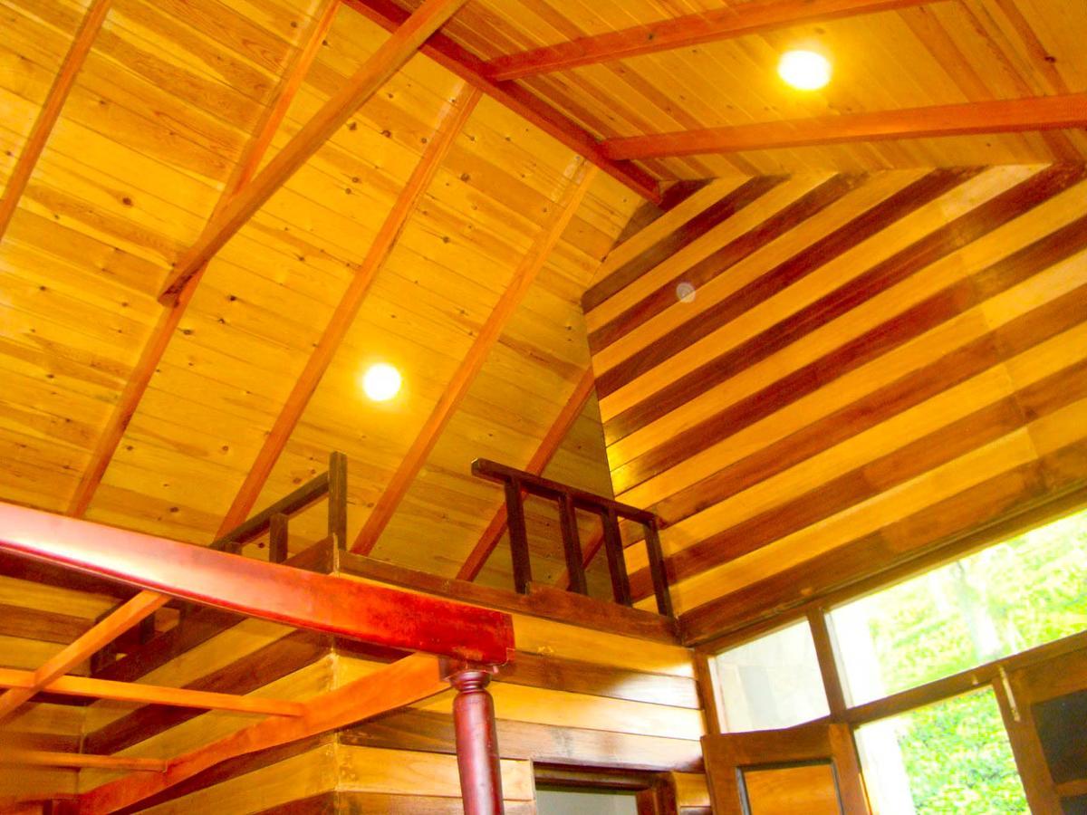 Tina Nature Villa Елла Екстер'єр фото